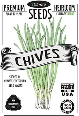 WILLVINE HUA-92 Hybrid Chives Seeds Seed(1000 per packet)