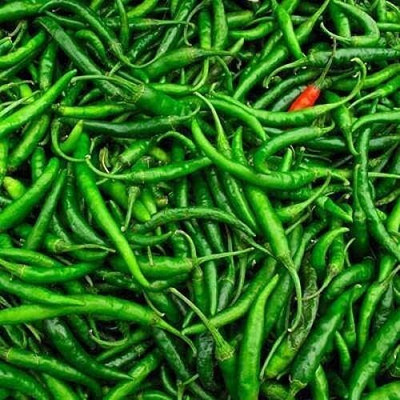 WILLVINE PUAS -VIII Hybrid PUSA JWALA Chilli/MIRCH[1gm, 200 Seeds] Seed(200 per packet)