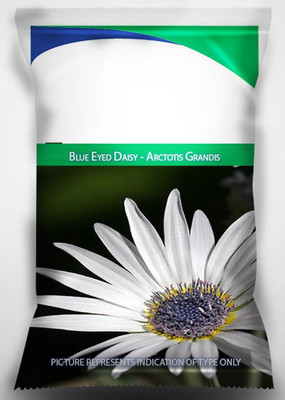 VibeX PUAS-94 - Blue Eyed Daisy - (180 Seeds) Seed(180 per packet)