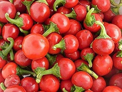 CYBEXIS Hybrid Cherry Pepper Chilli Seeds2400 Seeds Seed(2400 per packet)