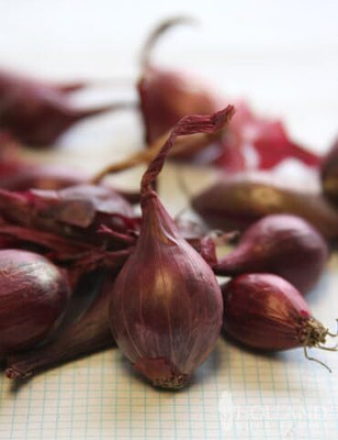 Biosnyg Fast Growing Red Comred Onion Vegetable Seeds For Planting-(750 Seeds) Seed(750 per packet)
