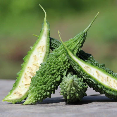 UGRA Japanese Long Bittergourd Seed(500 per packet)