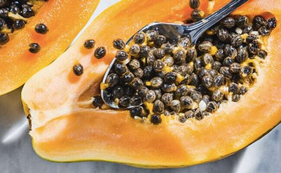 ARYAN EVERGREEN Papaya seeds Seed(50 per packet)