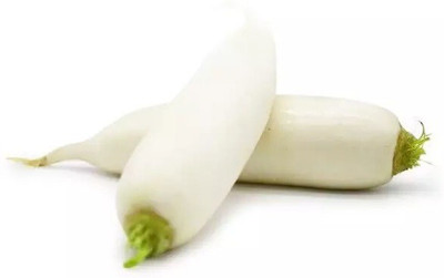 Avysa High Quality Organic White Radish Seed(3000 per packet)