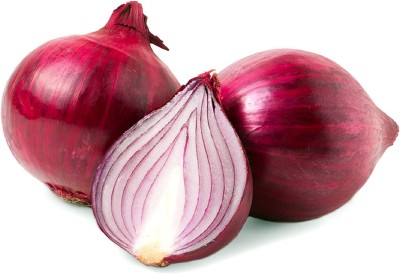 VibeX ® LXI-605 Onion Red Burgundy (Short Day) Heirloom Seed(1000 per packet)