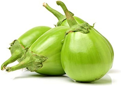 KNESSiN Brinjal Green Peel Seed(200 per packet)