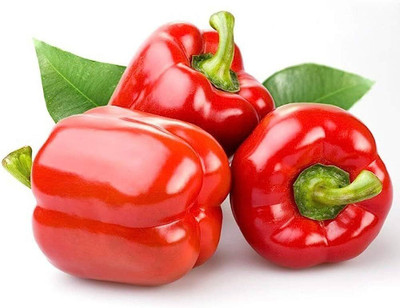 BDSresolve Laal shimla mirch/capsicum seeds 12 Seed(12 per packet)