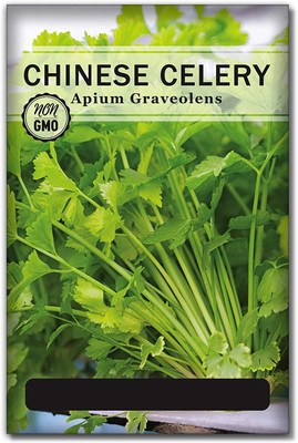 Qualtivate NDIR-254 Chinese Celery Seeds Seed(500 per packet)