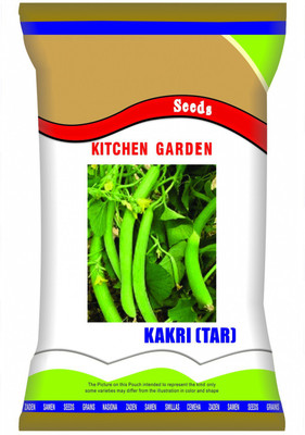 CYBEXIS LX-30 - Hybrid Cucumber Kakri - Long Melon - (450 Seeds) Seed(450 per packet)