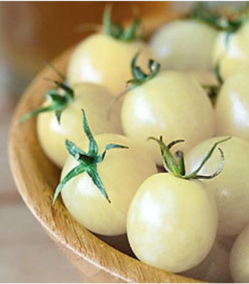 Biosnyg Hybrid Snow White Cherry Tomato Seeds for Home Gardening - (4000 Seeds) Seed(4000 per packet)