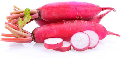 AMAJIT Long Radish/ Half Red Mooli for Home gardening(38) Seed(38 per packet)