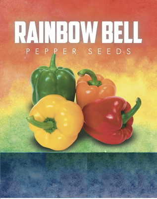 KNESSiN F1 Hybrid Rainbow Capsicum Vegetable Seeds for Garden-(100 Seeds) Seed(100 per packet)
