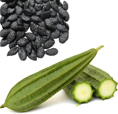 Infintegreen SPONGE GOURD Seed(100 per packet)
