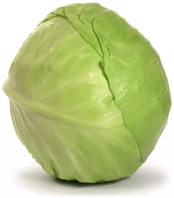 MYLAWN Cabbage round green (बंधा गोभी के बीज) Seed(500 per packet)