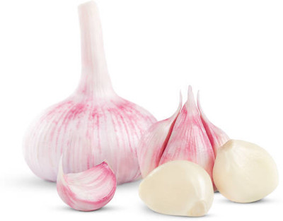 Avysa Garlic Cloves Seed(80 per packet)