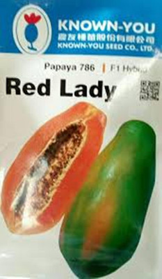 the green dotcom RED LADY PAPAYA HYBRID SEEDS WITH 786 F1 FRESS TAIWAN 10 GRAM Seed(60 per packet)