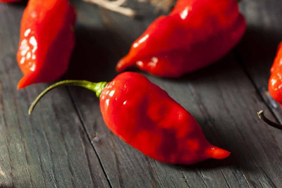 ibains Kashmiri chilli seeds Seed(30 per packet)