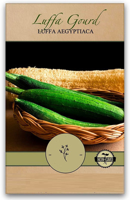 CYBEXIS PAU-11 - SPONGE GOURD - (900 Seeds) Seed(900 per packet)