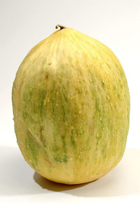 WILLVINE KGF -259 Crenshaw Musk Melon Seeds - Non-GMO Seed(200 per packet)