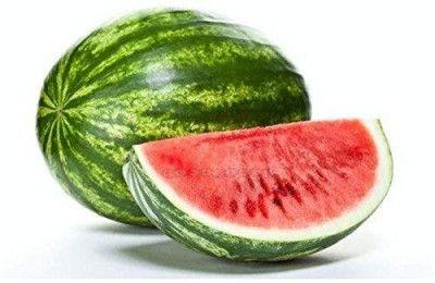 ActrovaX Watermelon F-1 Hybrid Tarbooj [50gm Seeds] Seed(50 g)