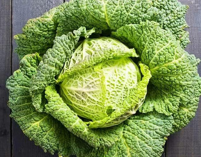 WILLVINE AGRI -II Savoy Cabbage Seeds for Planting [5g] Seed(1500 per packet)