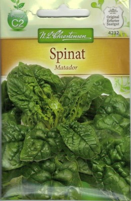 DROXTY SPINACH Seed(1000 per packet)