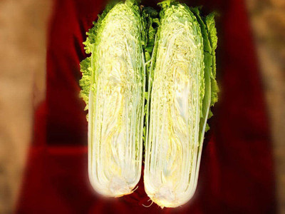 CYBEXIS Heirloom Chinese Cabbage/Fresh Food Sweet Seeds 2000 Seeds Seed(2000 per packet)