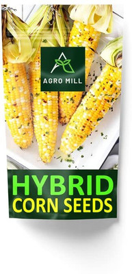 WILLVINE MAH -VIII NK-6290 Plus Hybrid Corn Seed-[250g] Seed(1000 per packet)