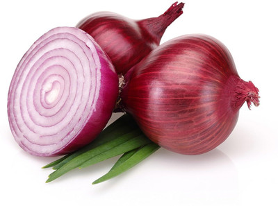 WILLVINE VMR -XIII Red Onion Super Nasik [50g] Seed(30000 per packet)