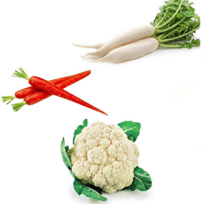 PSAgroinput Mooli(Radish)-Gajar(Carrot)-PhoolGobhi(Cauliflower) pack of 3 Seed(100 g)