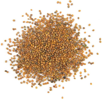 Qualtivate PAU-197 Wild Arugula Seeds Seed(500 per packet)