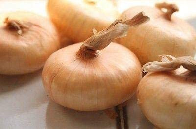 VibeX ® VMR-491 Onion -Borettana Cippolini - Button Shape Seed(1000 per packet)