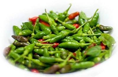KNESSiN Bird Eye Chilli - Kanthari Mulaku, Thai Pepper, Tiny Chilli[400 Seeds] Seed(400 per packet)