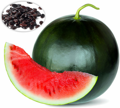 Seedsilk Store Kallangadi/ Watermelon Black Fruit Seeds F1 Hybrid For Planting, Gardening Seed(50 per packet)