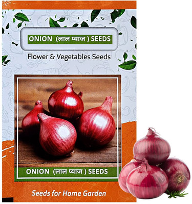 WILLVINE HUA -VII Nasik Onion Dark Red [1g] Seed(750 per packet)