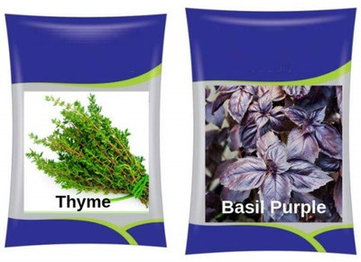 VibeX Thyme & Basil Purple Herb Seed(60 per packet)