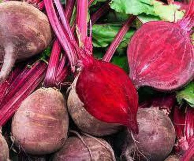 Weber Beetroot seed , chukandar seeds organic b47 Seed(105 per packet)