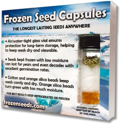 CYBEXIS Seeds (Antirrhinum majus) Packed in FROZEN SEED CAPSULES Seed(1 g)