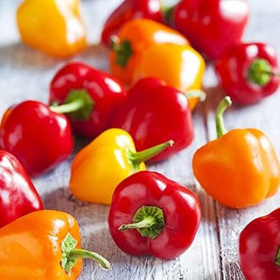 Biosnyg High Germination Mini Capsicum Seeds For Kitchen Gardening-(100 Seeds) Seed(100 per packet)