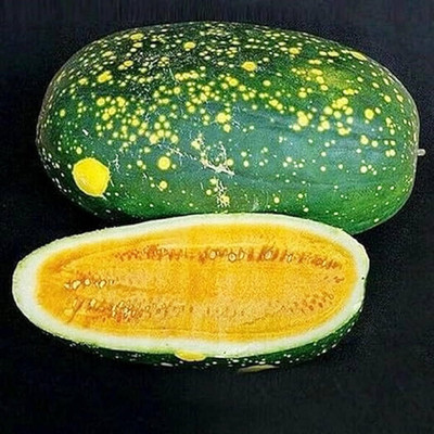 Biosnyg Hybrid Seedless Watermelon Fruit Seeds for Garden-(500 Seeds) Seed(500 per packet)