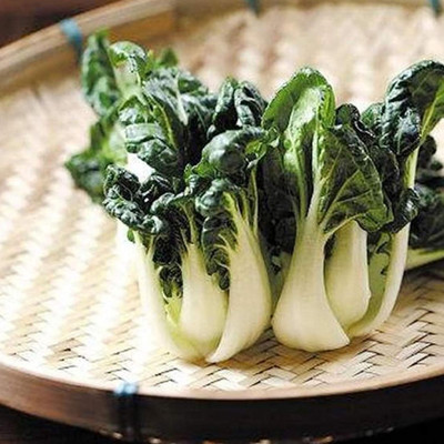 KNESSiN Cabbage Pak Choi Seed(200 per packet)