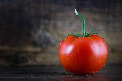 XOLDAA kashmiri hybrid tomato seeds Seed(70 per packet)