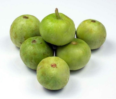 Farmonix Org_212_Tinda-Rare Indian Round Gourd -Good Producer Seed(150 per packet)
