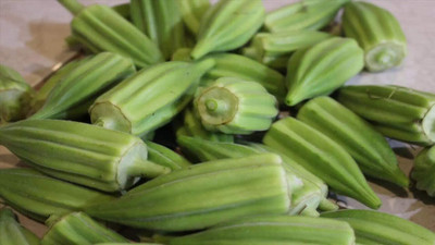 VibeX GUA-32 - Star Of David Okra - (1350 Seeds) Seed(1350 per packet)