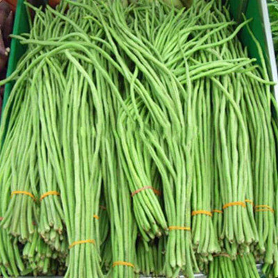 CRGO BEANS Seed(55 per packet)