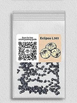 CYBEXIS VVI-38 - Eclipse L303 Onion - (4500 Seeds) Seed(4500 per packet)