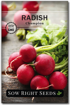 VibeX LX-30 - Champion Radish - (250 Seeds) Seed(250 per packet)