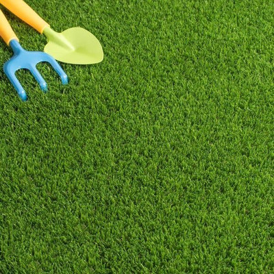 LPR GHAS,GRASS Seed(500 per packet)
