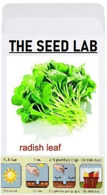KNESSiN LAX-59 Radish Leaf Seed(200 per packet)