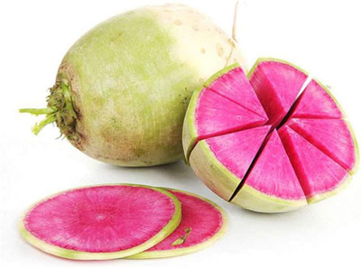 CYBEXIS Hybrid Bulls Blood Beetroot Seeds2000 Seeds Seed(2000 per packet)